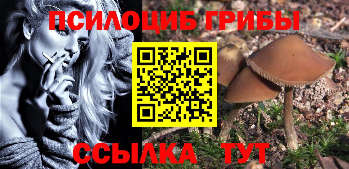 Псилоцибиновые грибы прущие грибы Сертолово