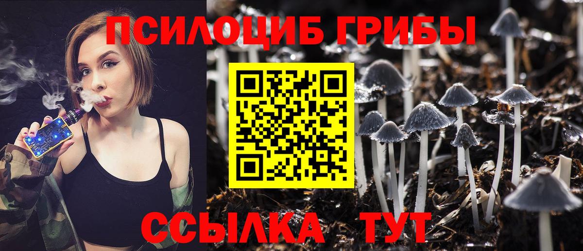 Псилоцибиновые грибы мицелий  Галлюциногенные грибы мухоморы  где купить   Вход с VPN  Сертолово 